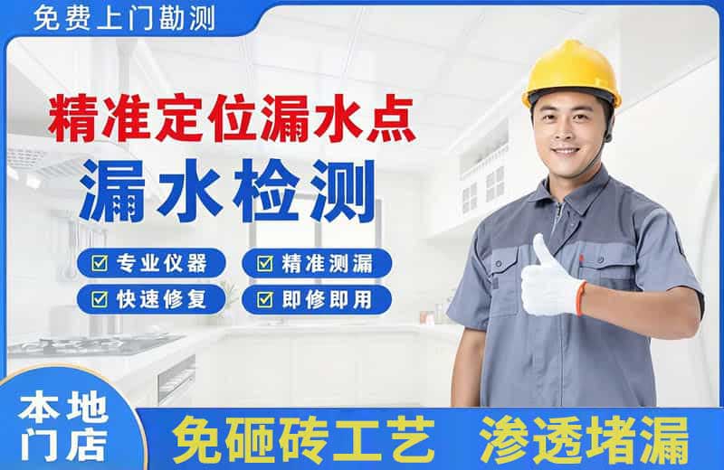 青龙精准测漏点